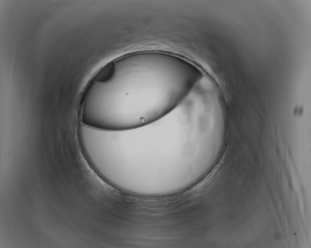 X0000096971500200802151257