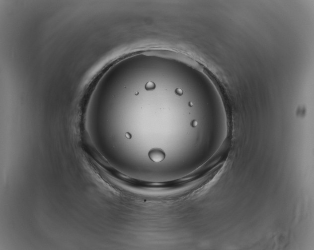 X0000096971502200802151257