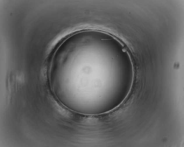 X0000096971503200802151257