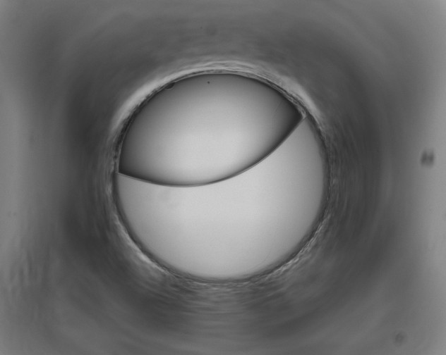 X0000096971504200802151257