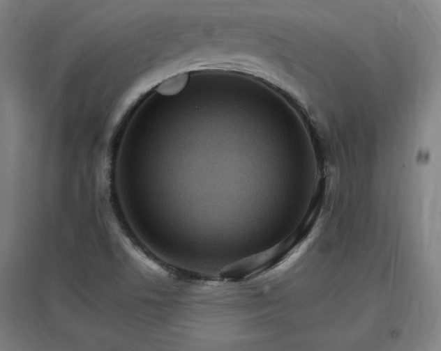 X0000096971506200802151257