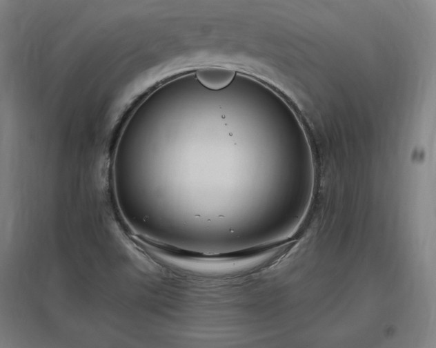 X0000096971507200802151257