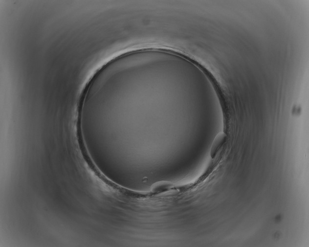 X0000096971508200802151257