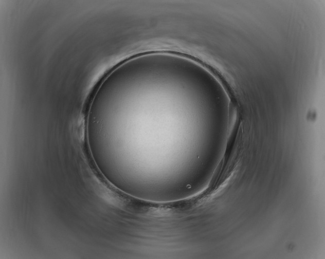 X0000096971509200802151257