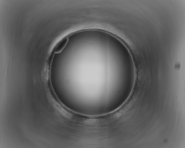 X0000096971510200802151257