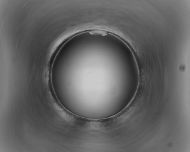 X0000096971511200802151257