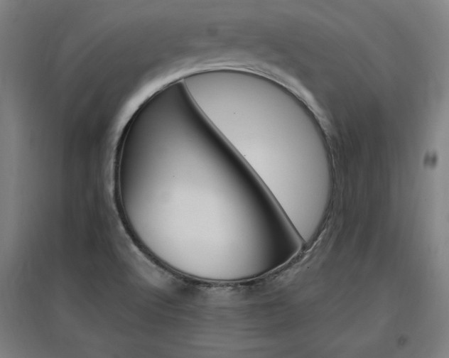 X0000096971512200802151257