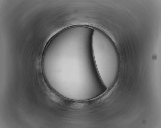 X0000096971513200802151257