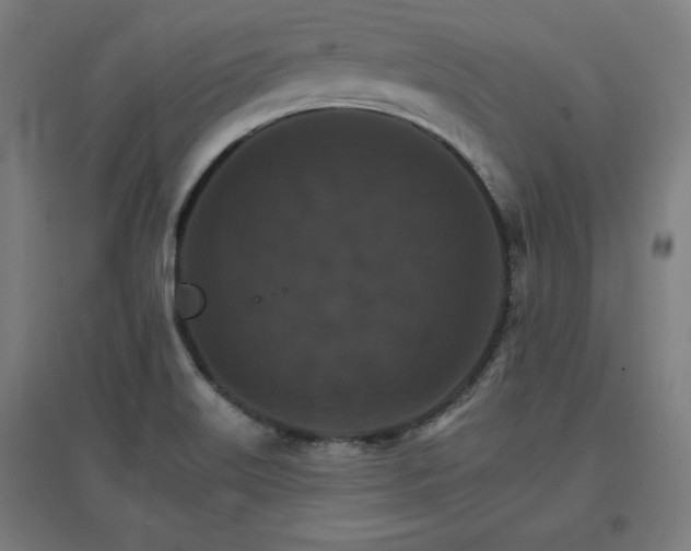 X0000096971515200802151257