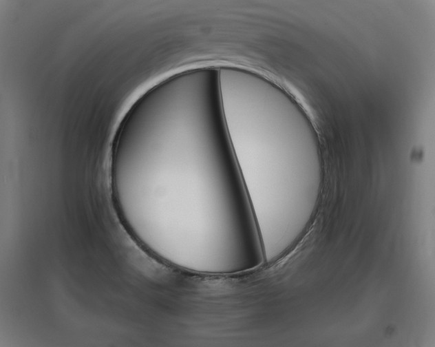 X0000096971516200802151257