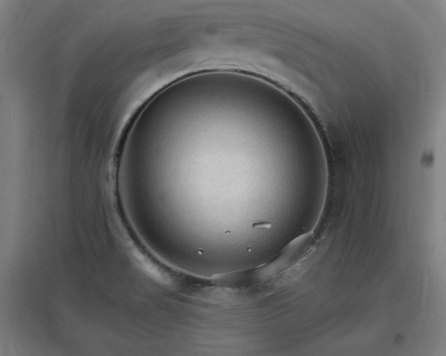 X0000096971517200802151257