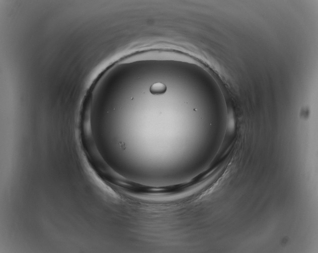 X0000096971518200802151257