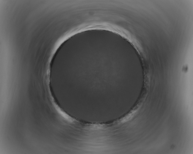 X0000096971519200802151257