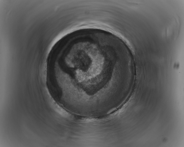X0000096971522200802151257