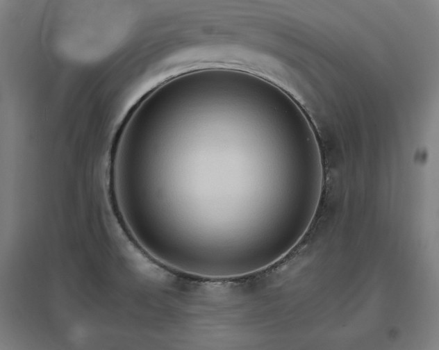 X0000096971523200802151257