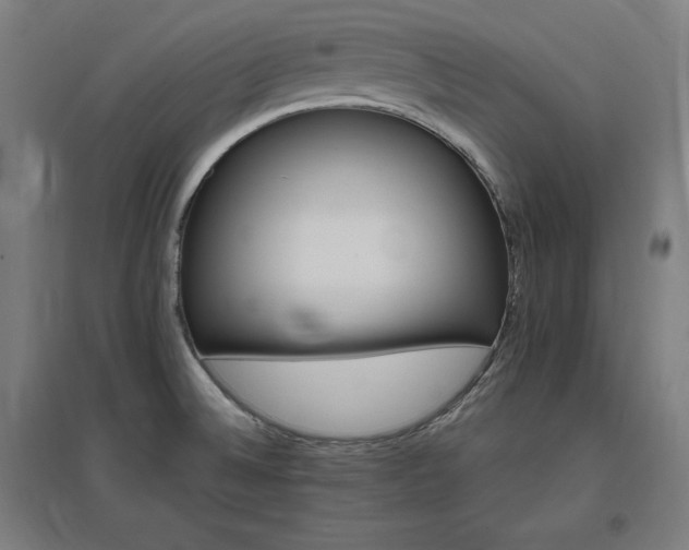 X0000096971524200802151257