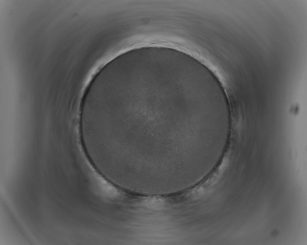 X0000096971525200802151257