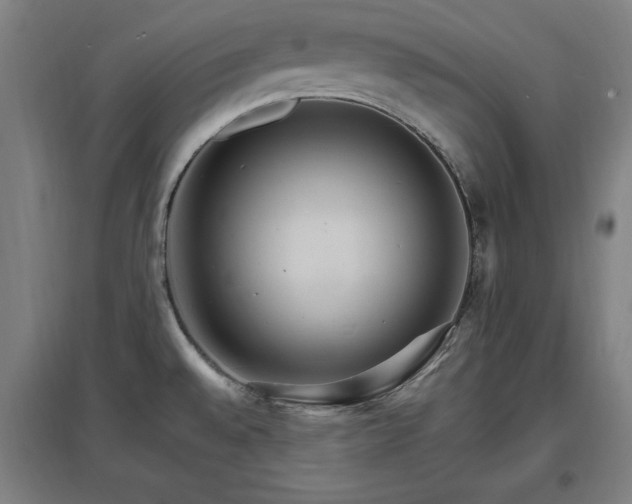 X0000096971528200802151257