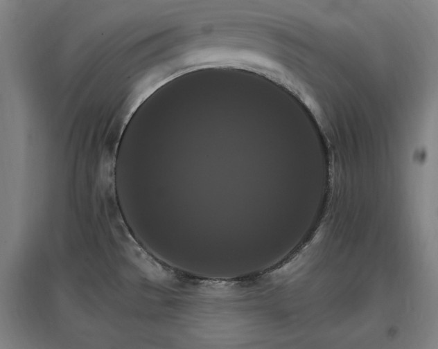 X0000096971529200802151257