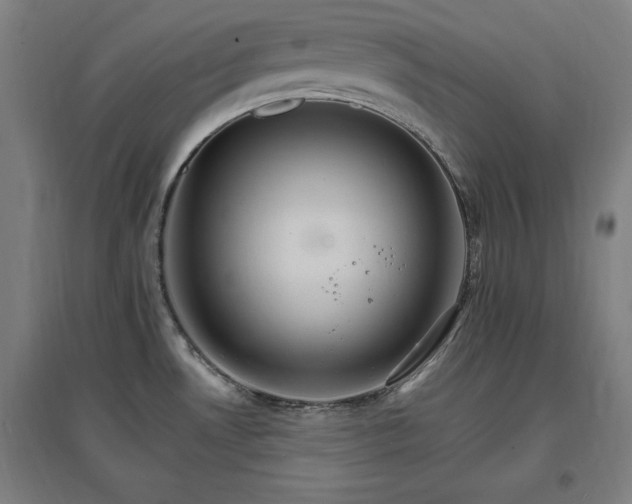 X0000096971530200802151257