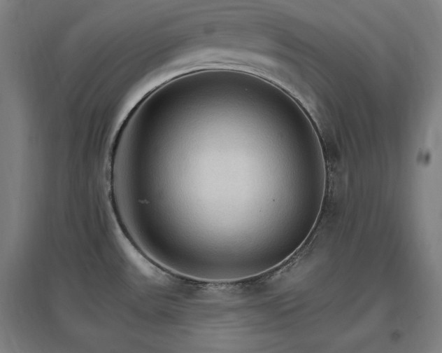 X0000096971531200802151257