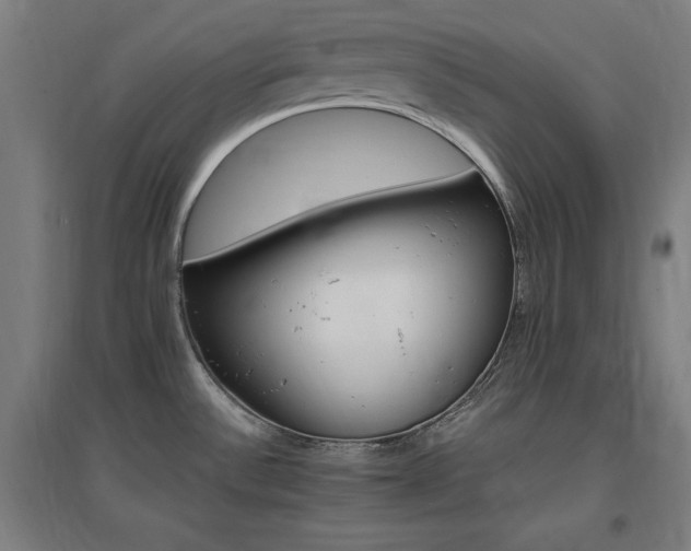 X0000096971532200802151257