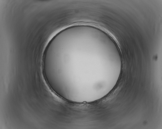 X0000096971533200802151257