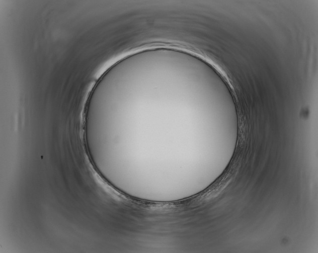 X0000096971535200802151257