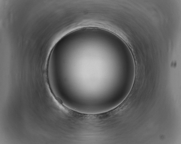 X0000096971536200802151257