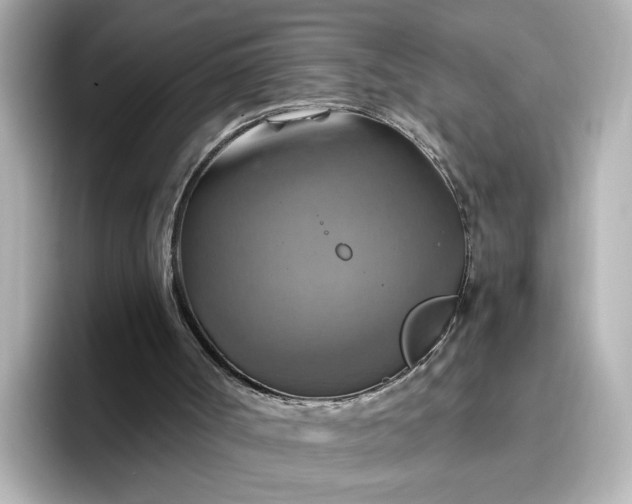 X0000096970002200802221413