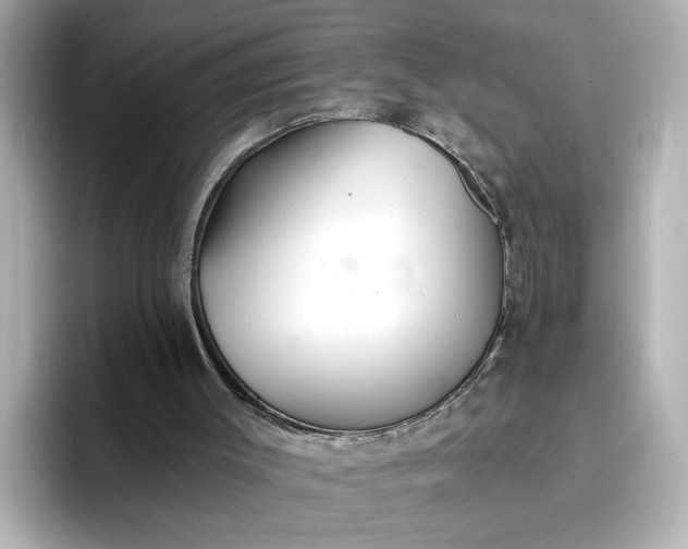 X0000096970003200802221413