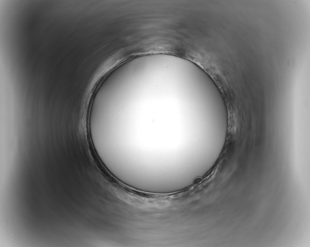 X0000096970004200802221413