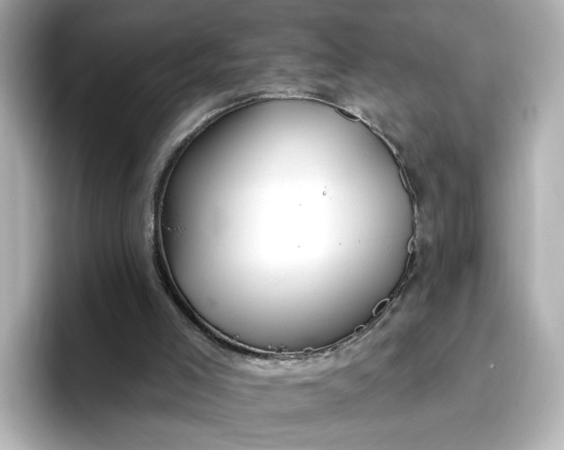 X0000096970005200802221413