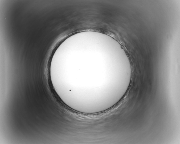 X0000096970006200802221413