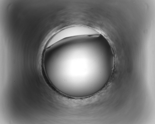 X0000096970007200802221413