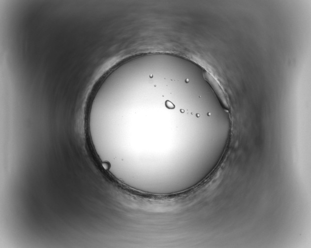 X0000096970008200802221413