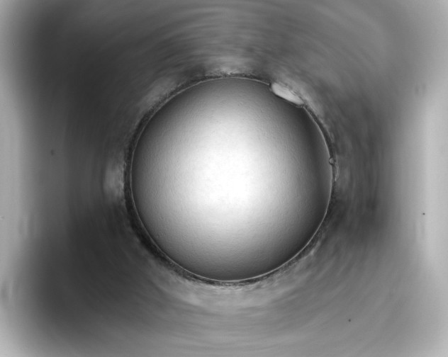 X0000096970010200802221413