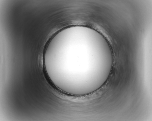 X0000096970011200802221413