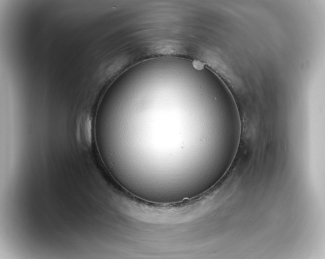 X0000096970014200802221413