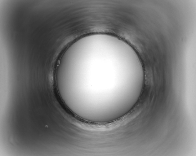 X0000096970015200802221413