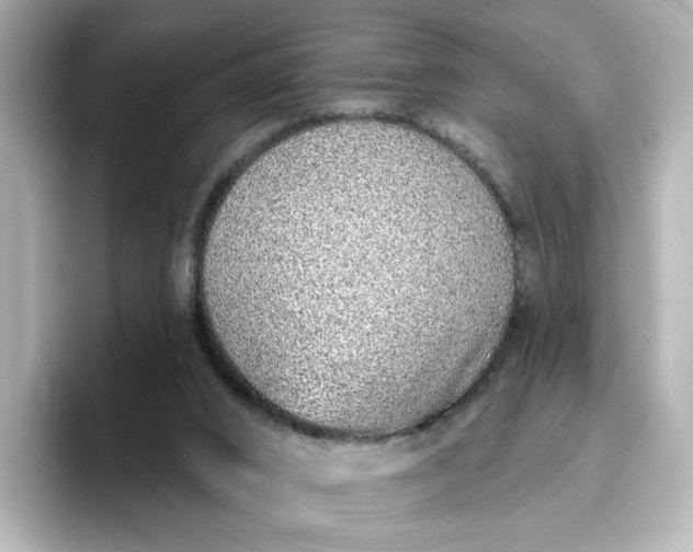 X0000096970016200802221413