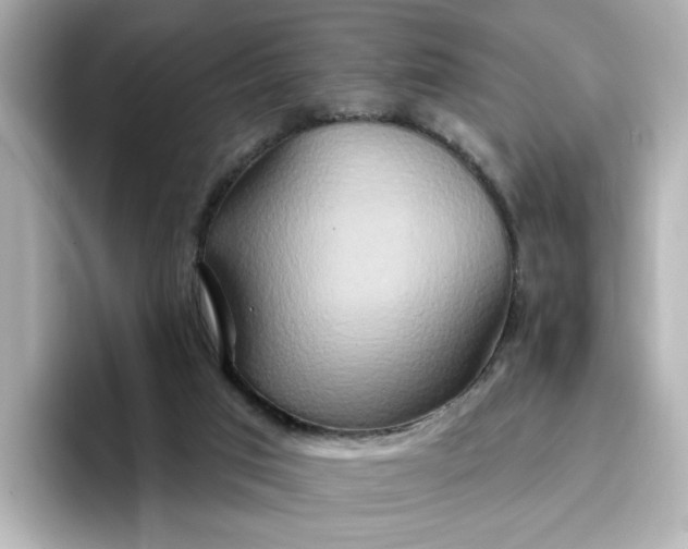 X0000096970017200802221413