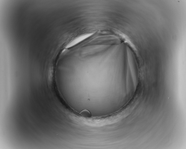 X0000096970018200802221413