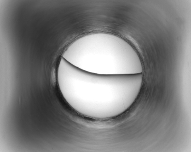 X0000096970020200802221413