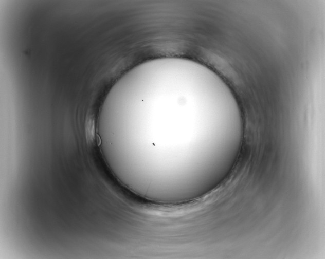 X0000096970021200802221413