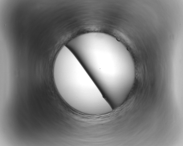 X0000096970023200802221413