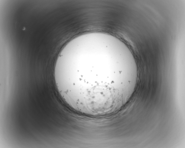 X0000096970024200802221413