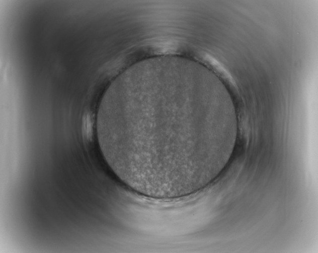 X0000096970026200802221413