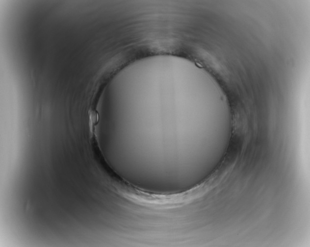 X0000096970027200802221413