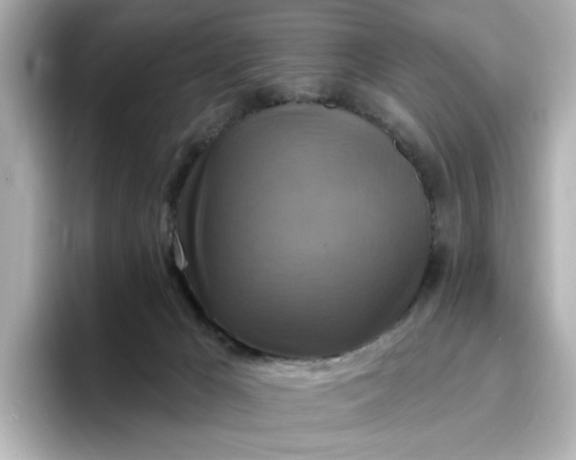 X0000096970029200802221413